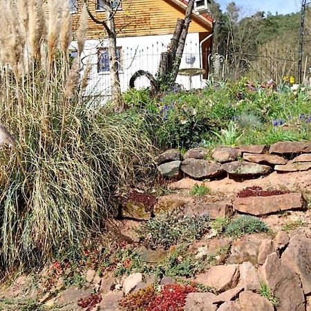 Appartamento Beas Ferienglueck Busenberg Esterno foto